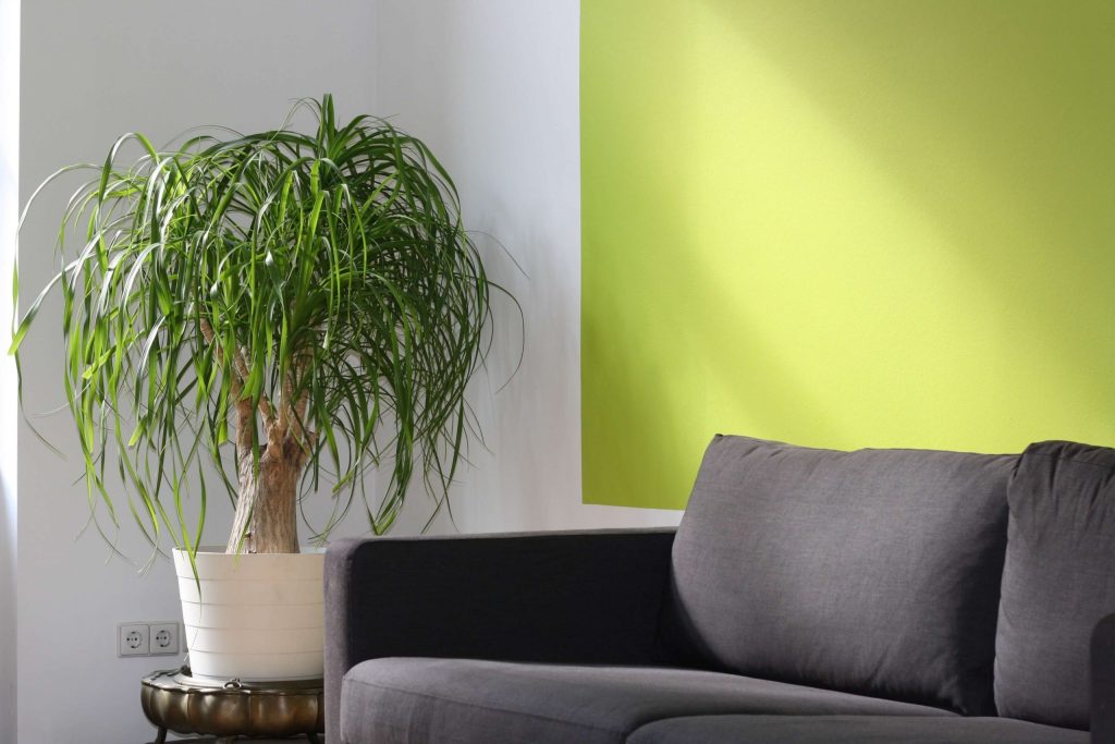 7 Qualities to Look for When Hiring a Residential Painting Contractor